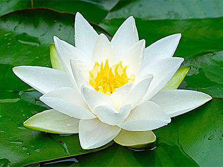 www.itl996.com