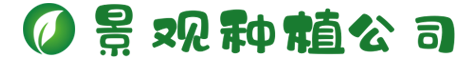 www.itl996.com